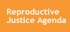 Reproductive Justice Agenda